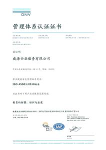 威海兴亚船务有限公司 DNV体系管理认证证书 正本2021.06_05.jpg