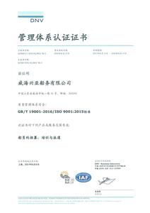 威海兴亚船务有限公司 DNV体系管理认证证书 正本2021.06_01.jpg